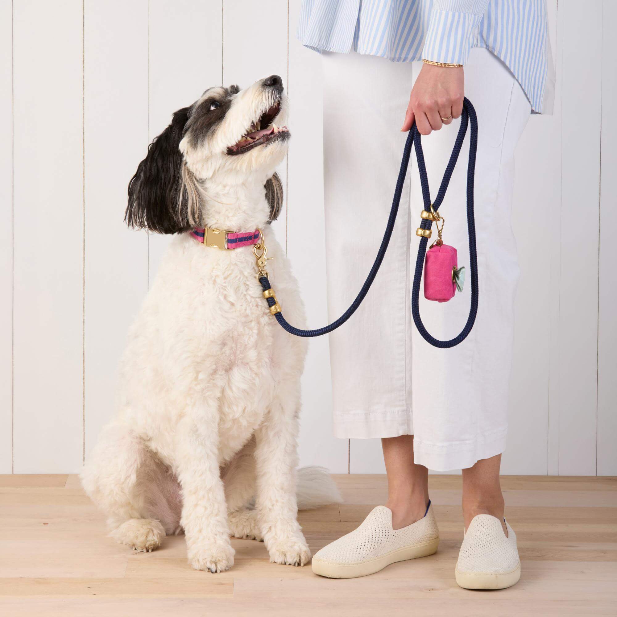 Sloane Striped Webbing Collar Walk Set - Image 4