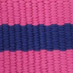 Sloane Striped Webbing Collar Walk Set - Image 5