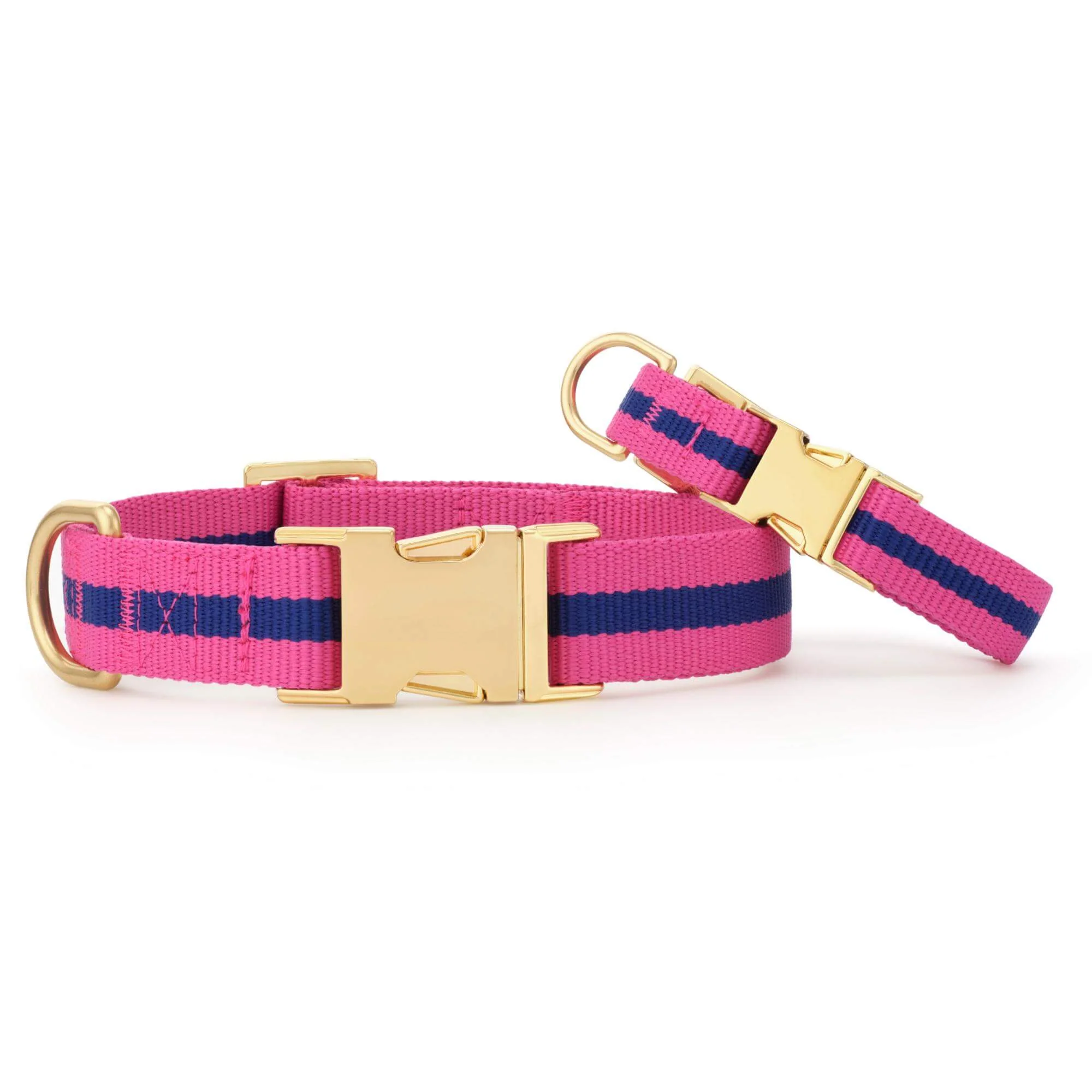 Sloane Striped Webbing Dog Collar - Image 4