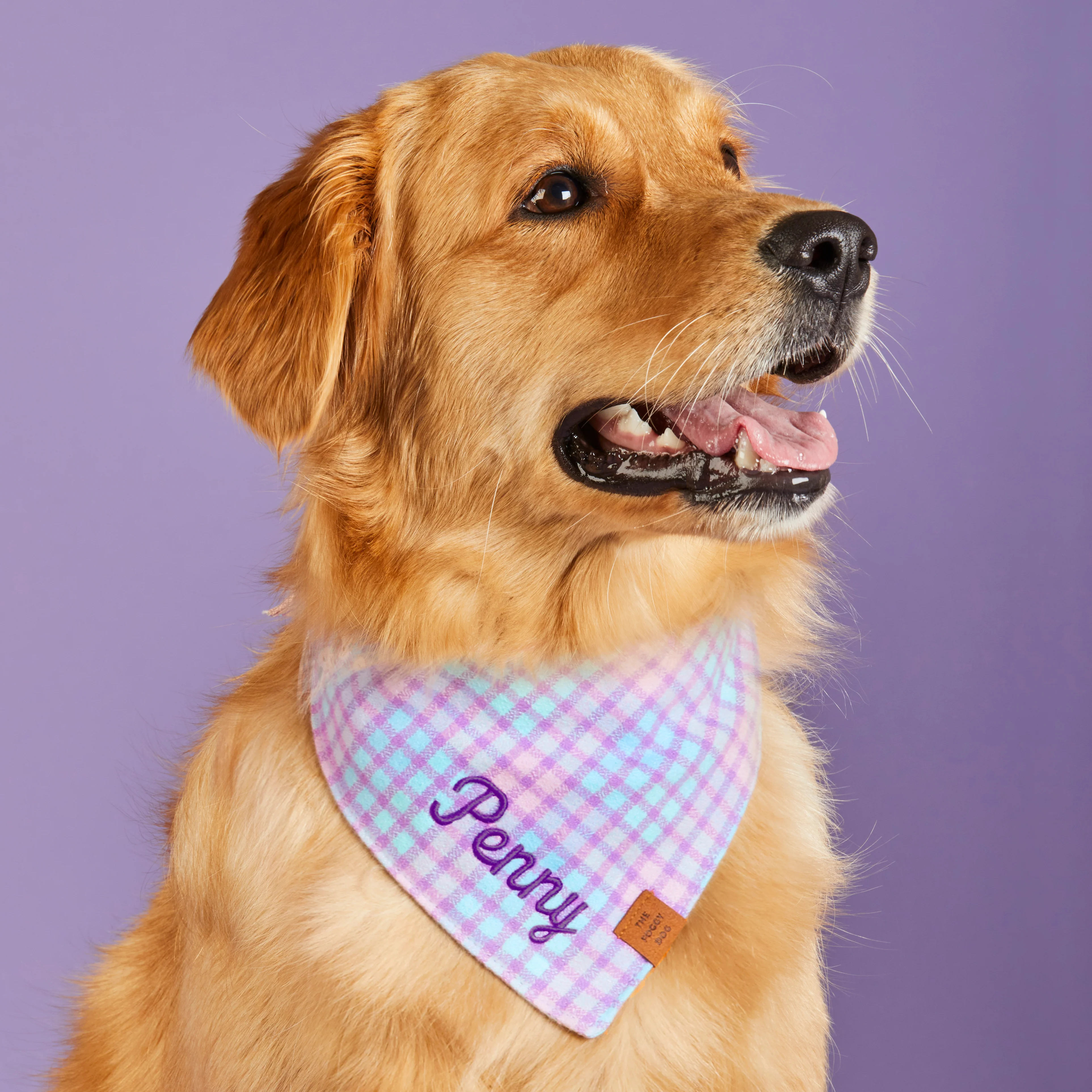 Sorbet Plaid Flannel Dog Bandana - Image 3
