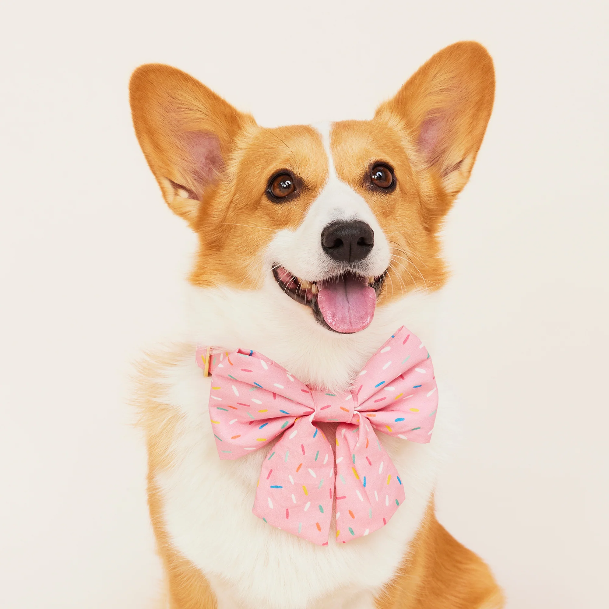 Sprinkles Lady Dog Bow - Image 5