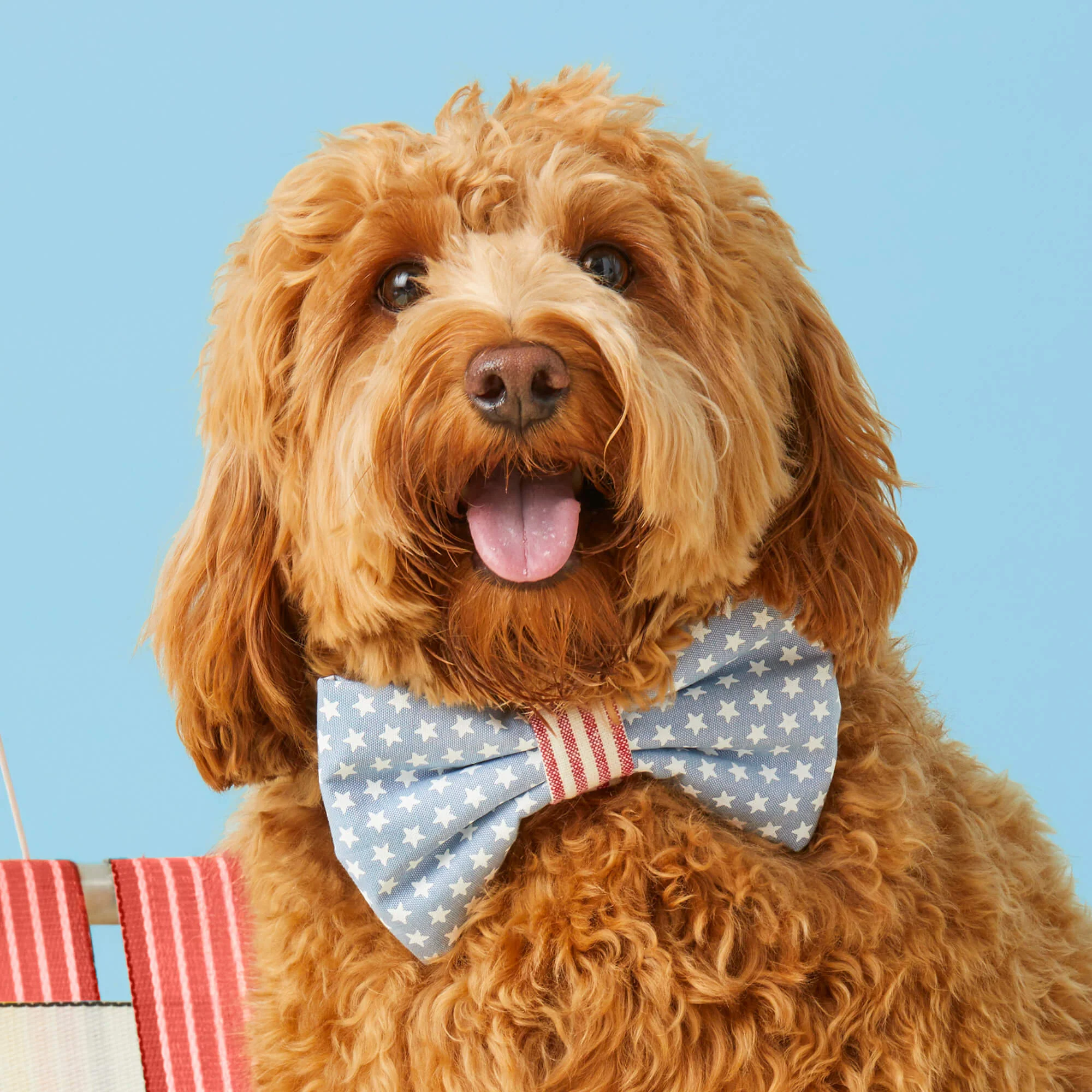 Stars and Stripes Bow Tie Collar - Image 4