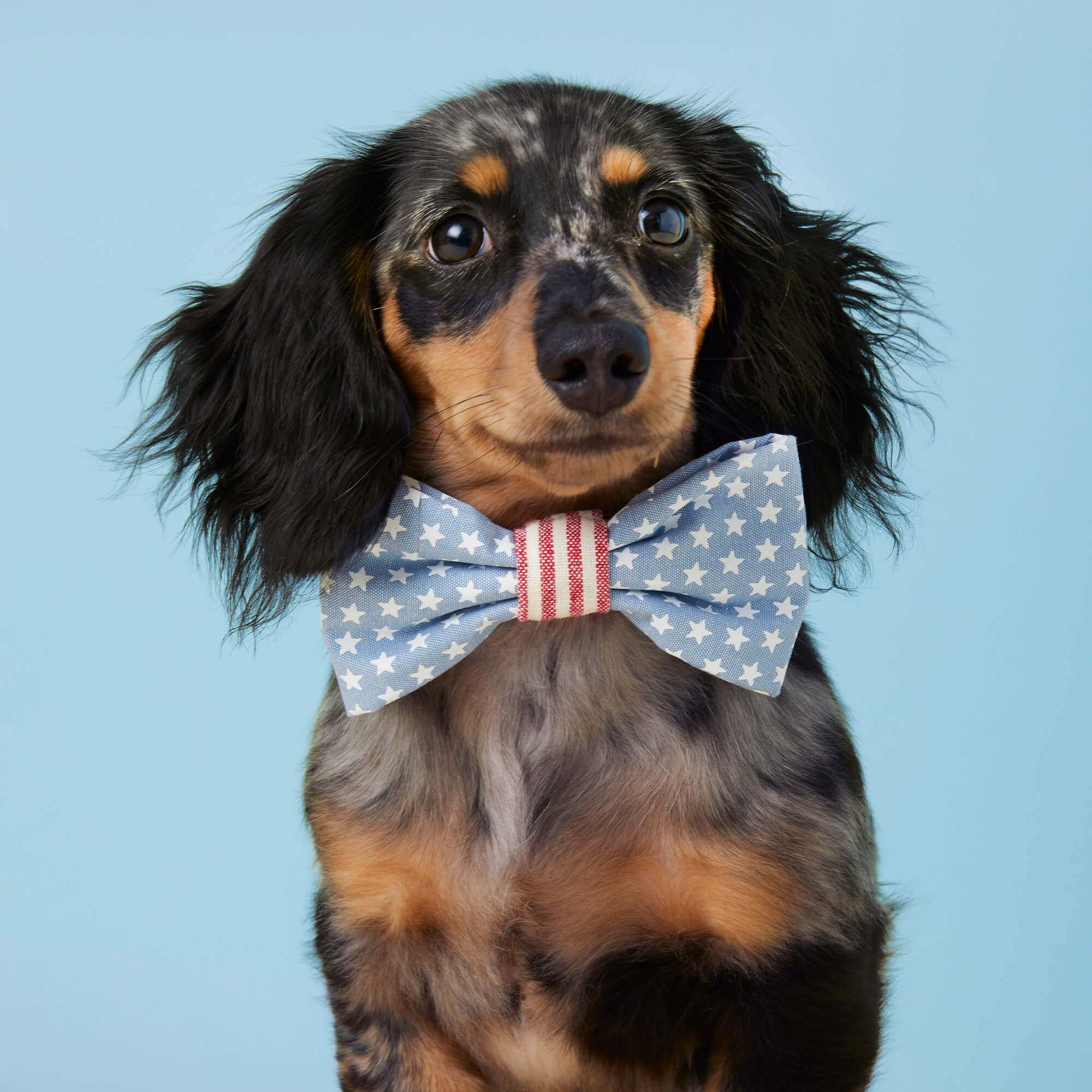 Stars and Stripes Dog Bow Tie - Image 4