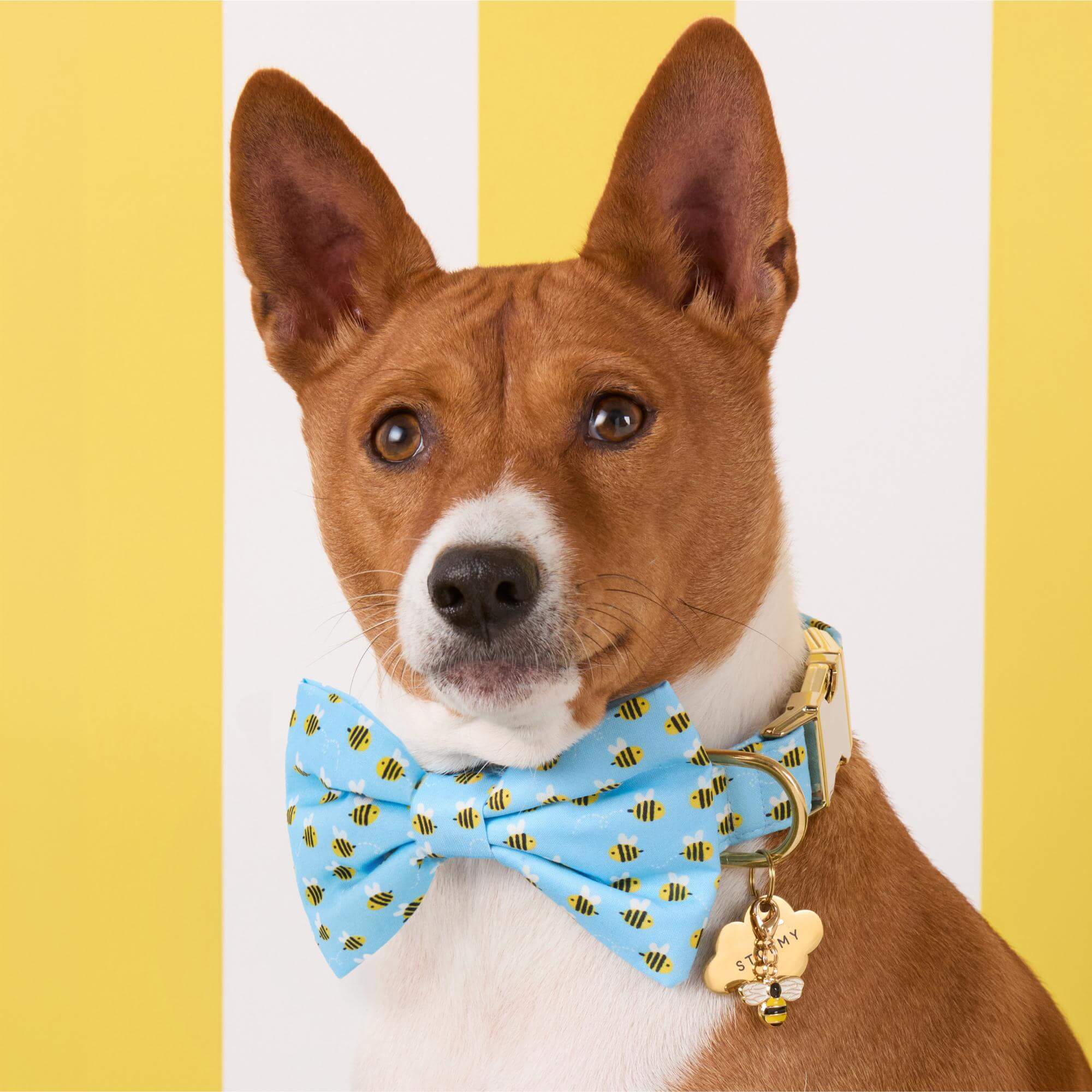 Sweet as Can Bee Dog Bow Tie - Image 3