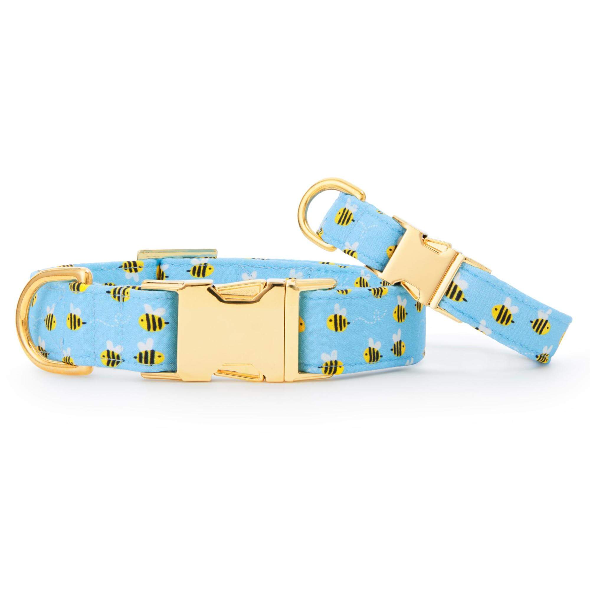 Sweet as Can Bee Dog Collar - Image 4