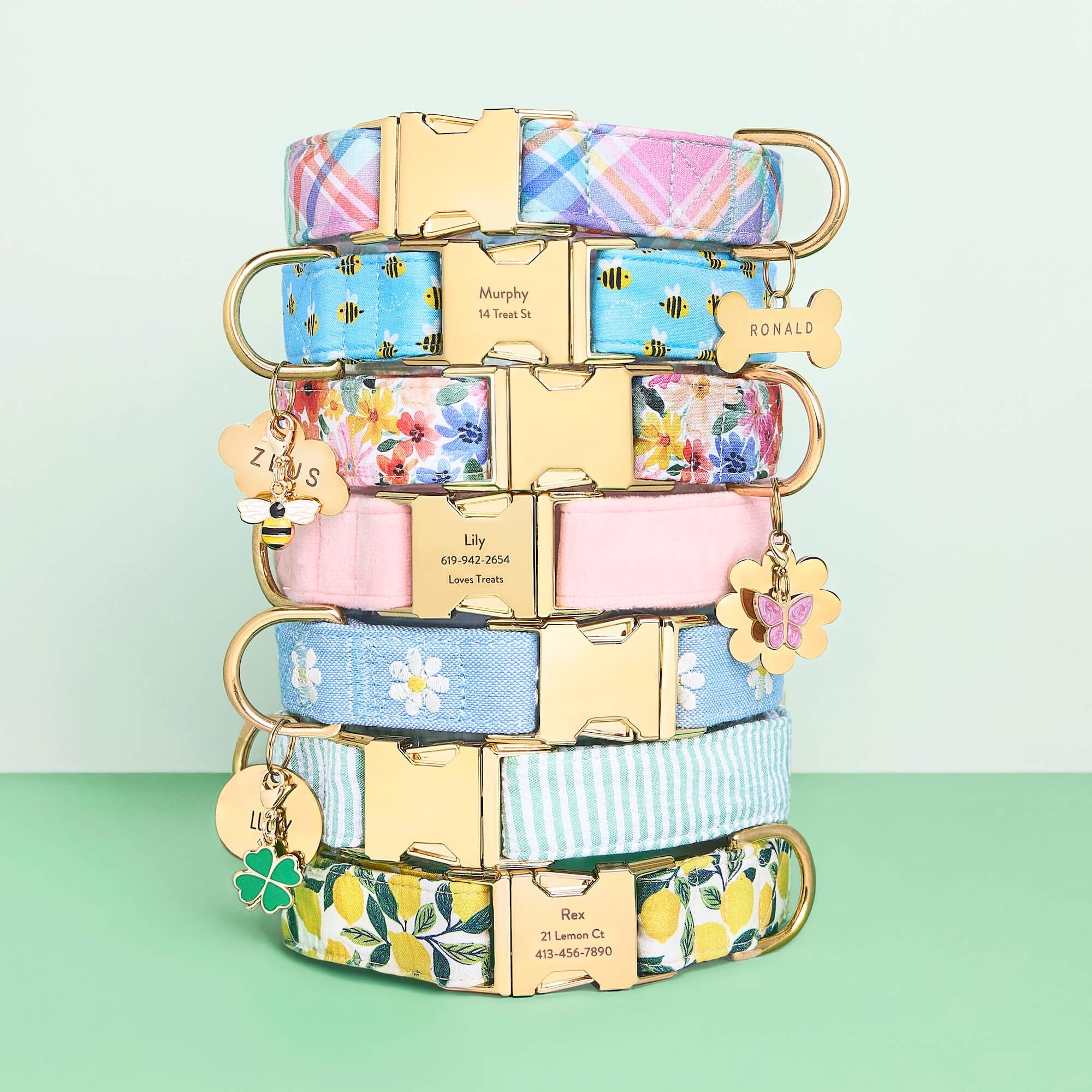 Bone Pet ID Tag - Image 32