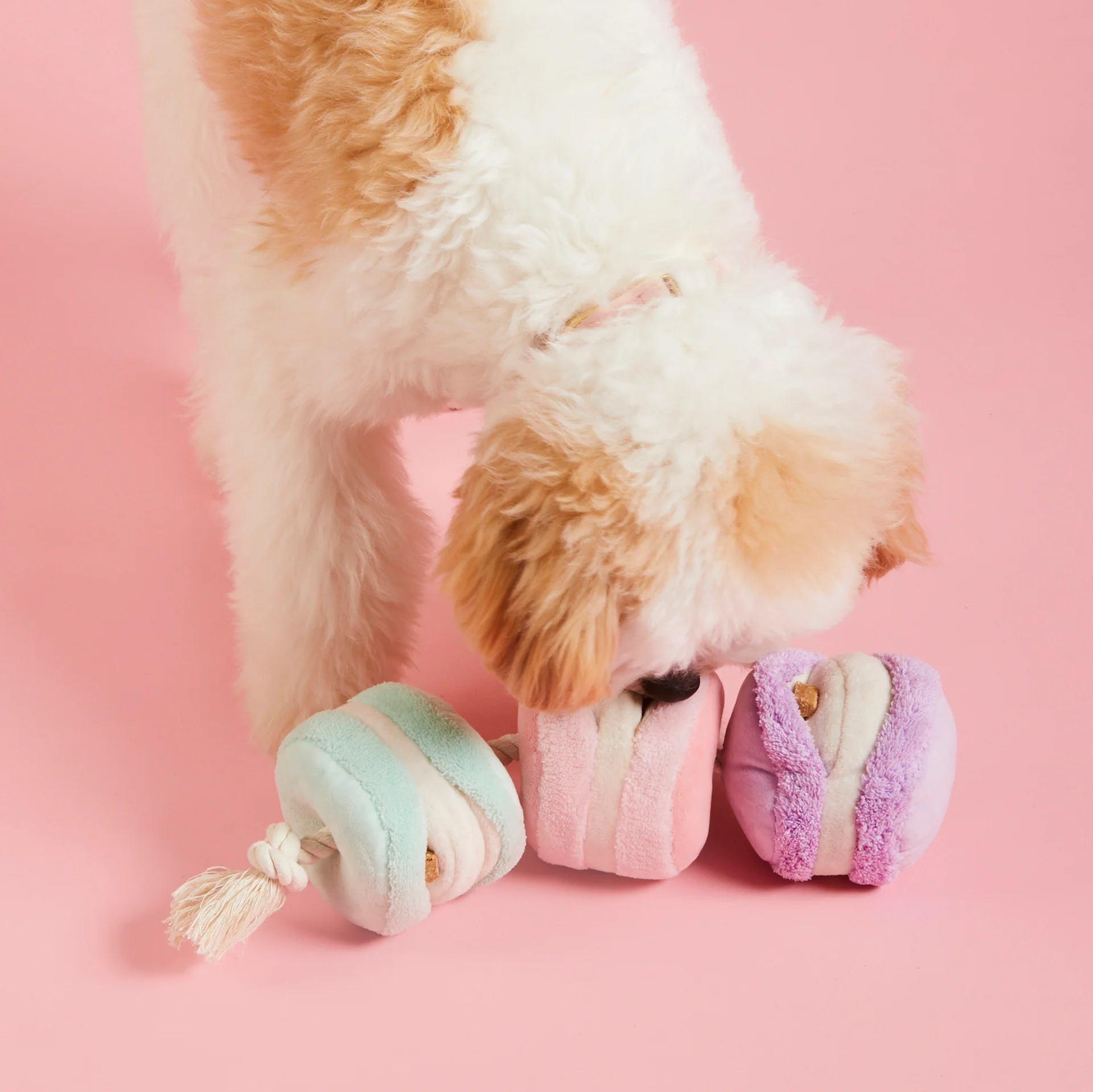 Sweet Treats Interactive Toy Set - Image 7