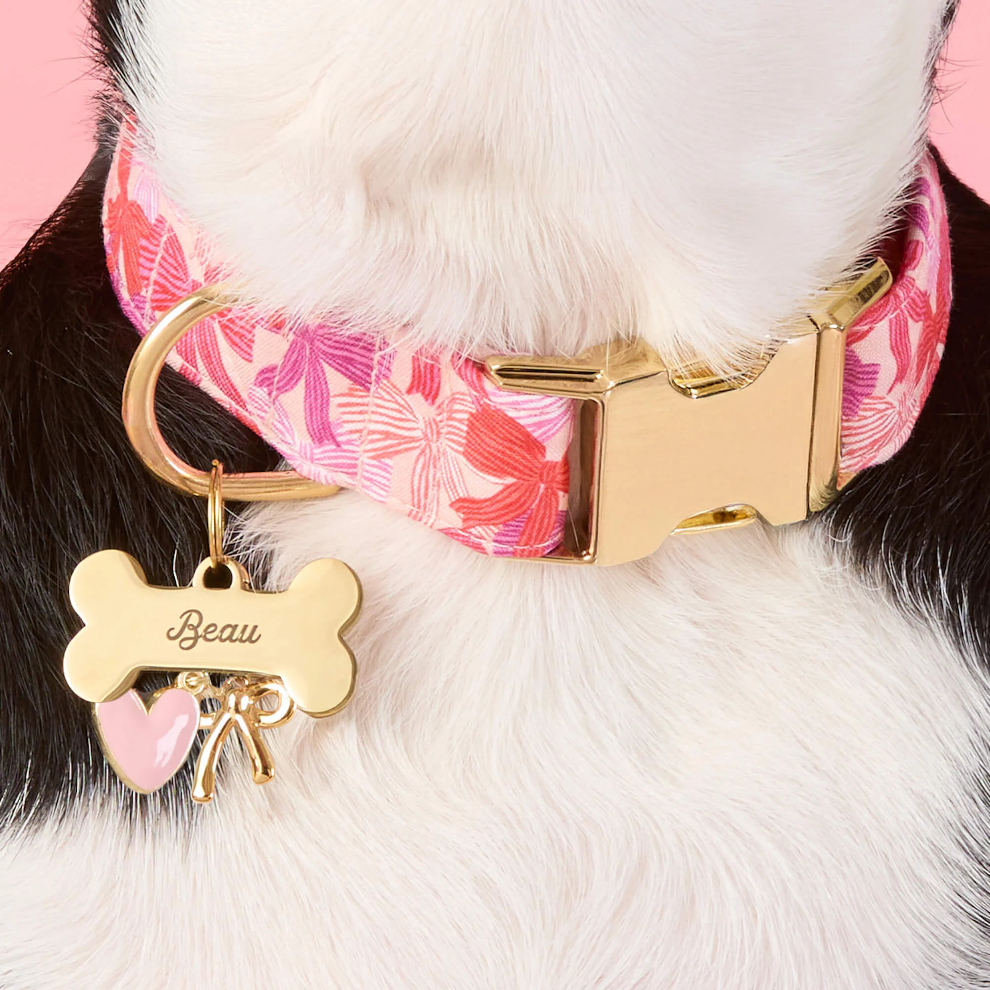 Take a Bow Dog Collar - Image 4