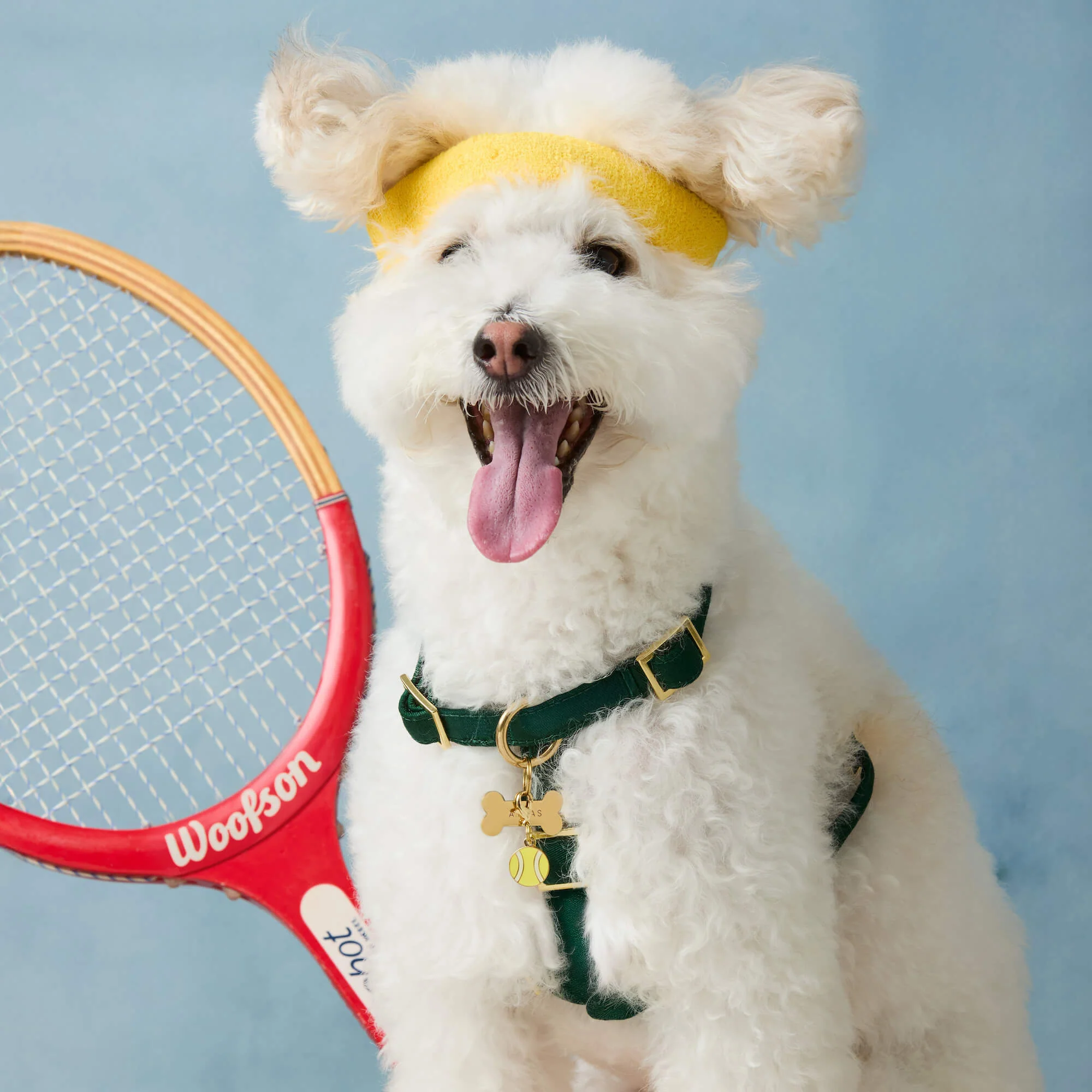 Tennis Ball Collar Charm - Image 4