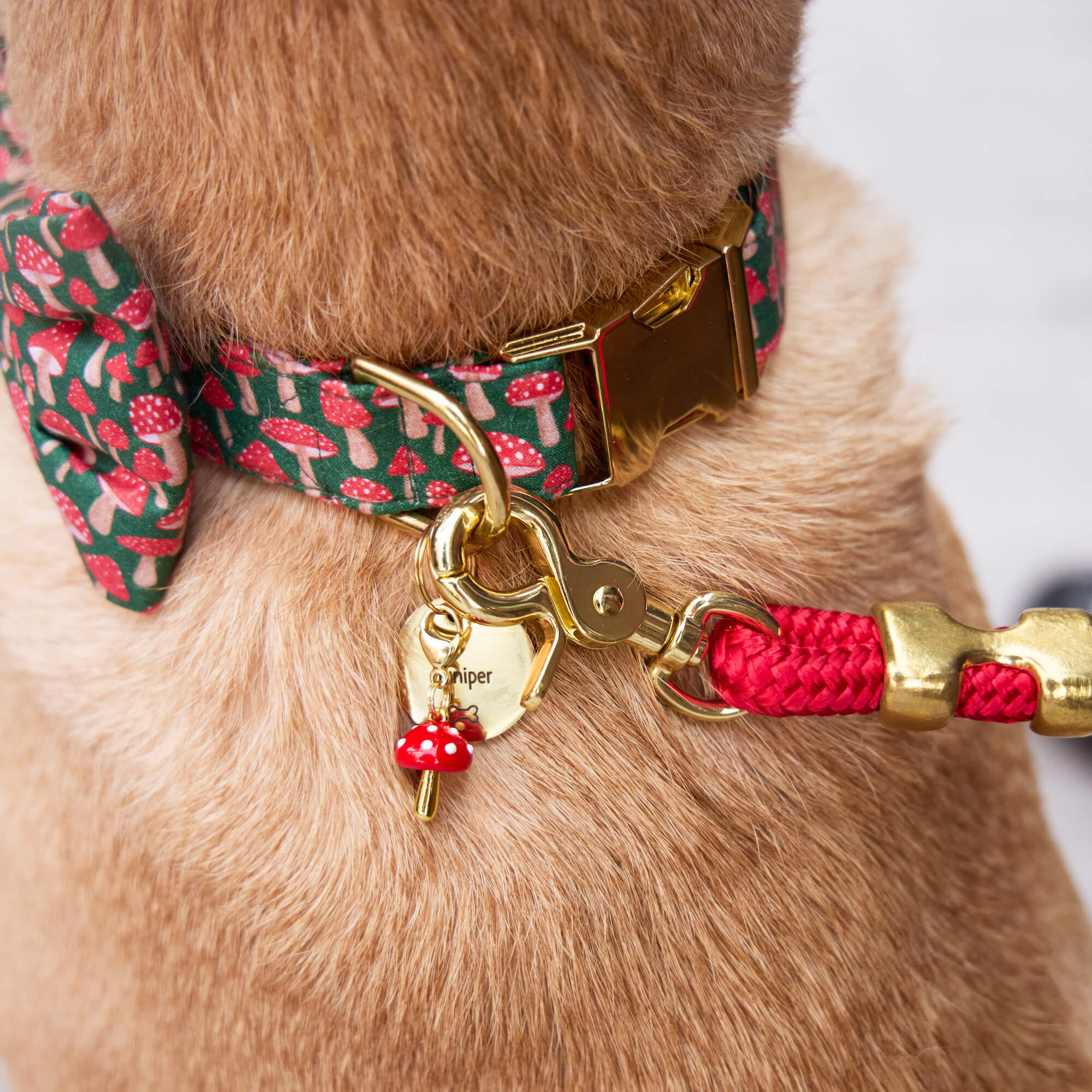 Toadstool Collar Charm - Image 2