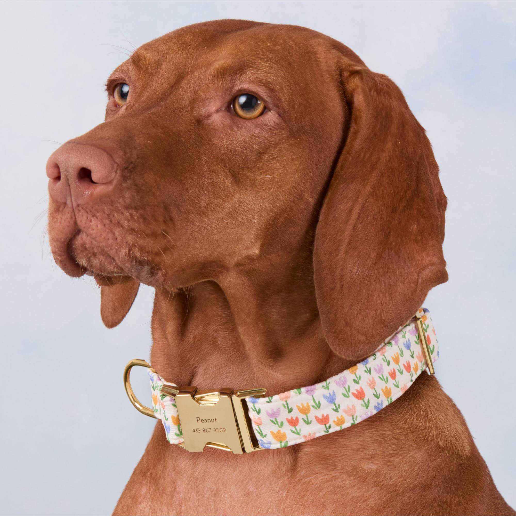 Tulip Garden Dog Collar - Image 4