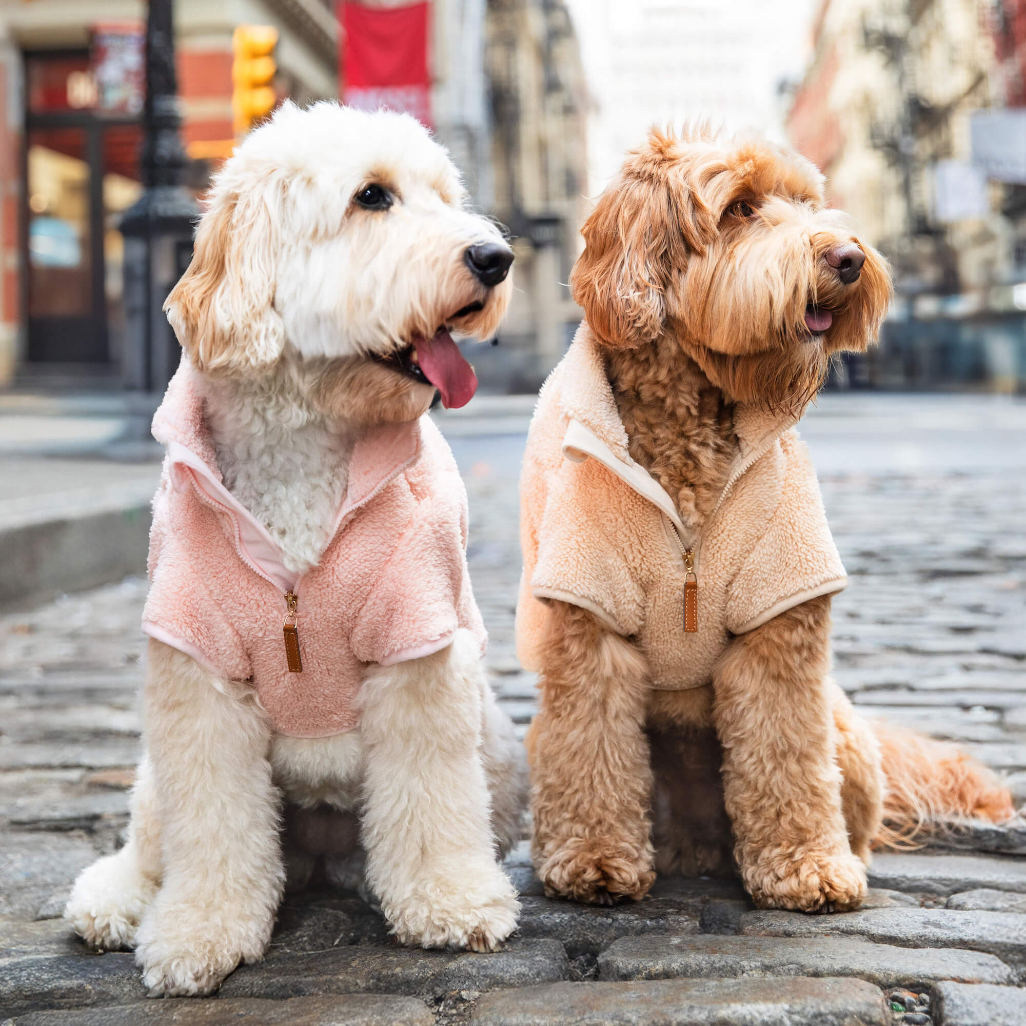 Wheat Quarter-Zip Sherpa Dog Jacket - Image 6