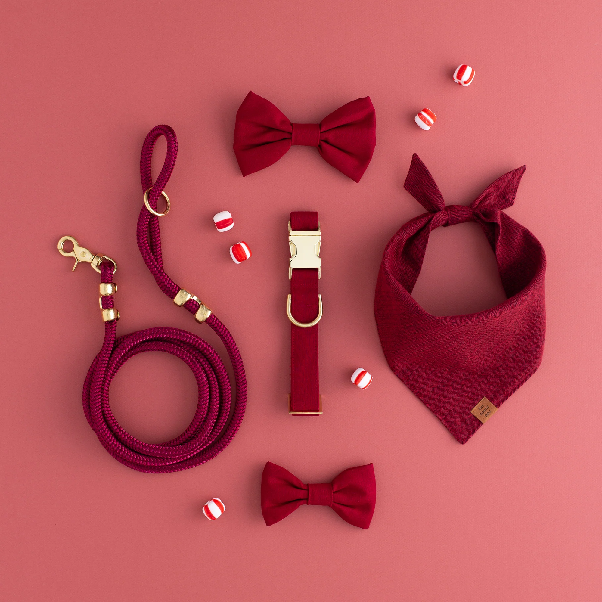 Wine Marine Rope Dog Leash - Image 11