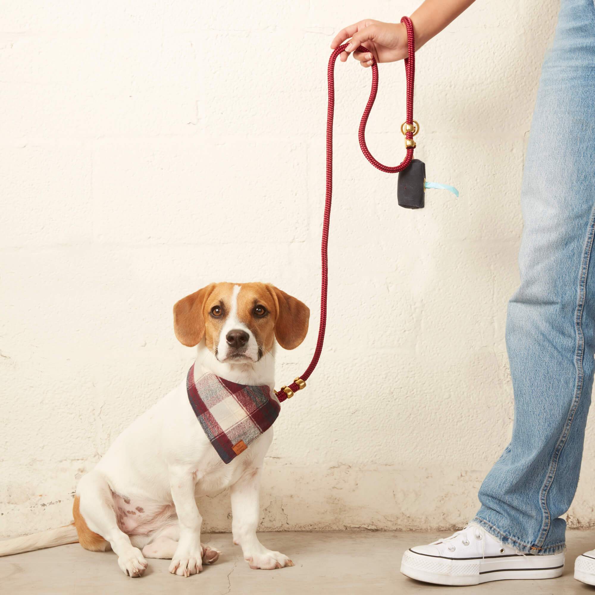 Wine Marine Rope Dog Leash - Image 4